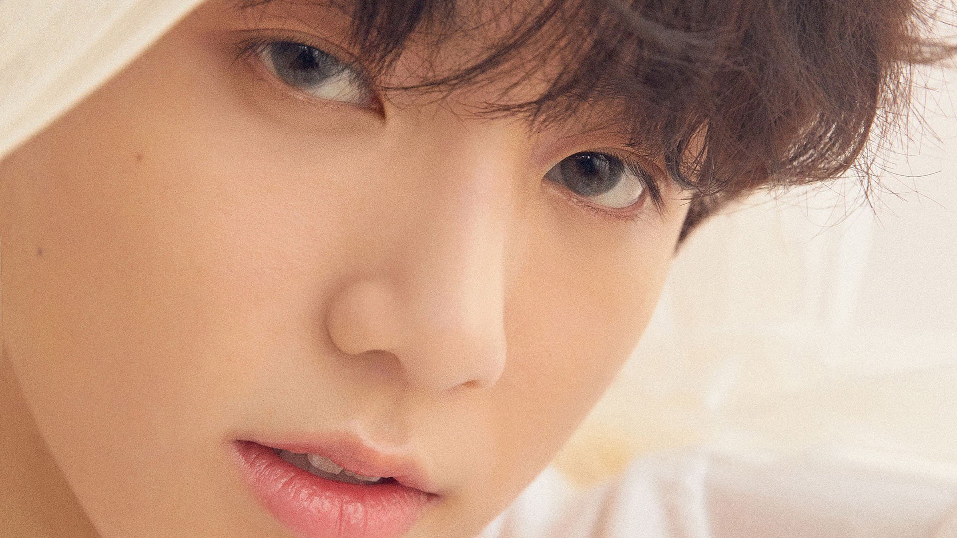 字母哥闪现多伦多?一场未出场的胜利与篮球的终极答案