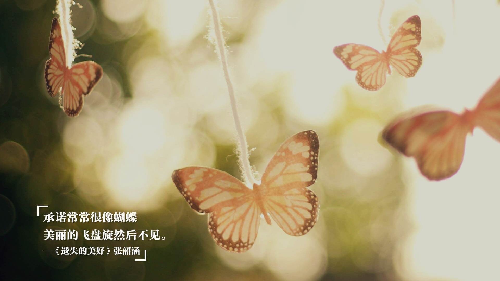 范弗利特压制级表现引爆全球篮球热,骑士队狂胜浙江队展NBA统治力